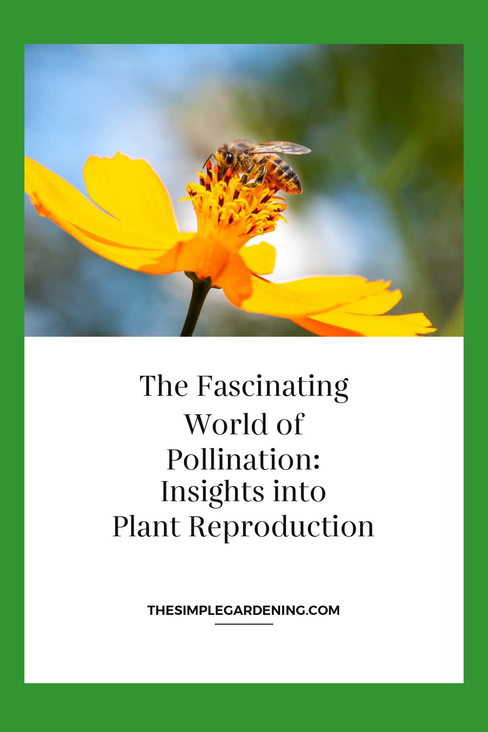 The Fascinating World of Pollination: Insights into Plant Reproduction